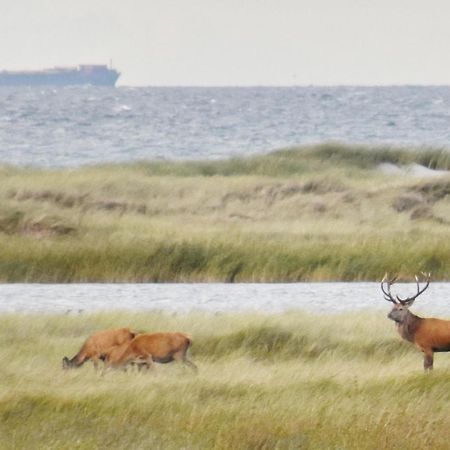 Fewo-Kramm Ostseebad Dierhagen Eksteriør bilde